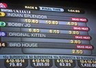 Vic Zast's Saratoga Diary: Last Gasp Vic Zast's Saratoga Diary: Last Gasp