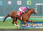 Prime Engine has won both of his starts, including the Gottstein Futurity.