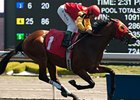 Upgraded Marine Gives Canada 44 Graded Stakes Upgraded Marine Gives Canada 44 Graded Stakes