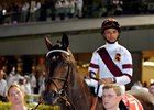Royal Delta Royal Delta