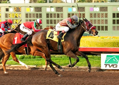 Odds-on choice My Fiona registered the third stakes win of her juvenile campaign when she outfought a game Heat the Rocks in a see-saw stretch run to prevail in the $200,000 Soviet Problem Stakes by half a length Dec. 7, 2014 at Los Alamitos.