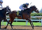 Princess Violet Tops Ruffian Stakes Entrants Princess Violet Tops Ruffian Stakes Entrants
