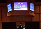 Shanon Nicole, Hip 348, was purchased by Edmond Hudon for $220,000.