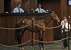 Median Rises at OBS Spring Sale Opener Median Rises at OBS Spring Sale Opener