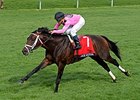 Jack Milton to be Offered at Fasig-Tipton Jack Milton to be Offered at Fasig-Tipton