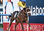 Steve Haskin's Derby Dozen for March 31, 2015 Steve Haskin's Derby Dozen for March 31, 2015