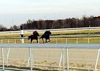 Mahoning Valley Race Course in northeastern Ohio