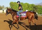 Breeders' Cup News Update for Oct 30, 2014 Breeders' Cup News Update for Oct 30, 2014