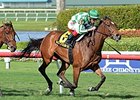 Beauty Parlor delivers a victory in the Orchid Stakes.<br><a target="blank" href="http://photos.bloodhorse.com/AtTheRaces-1/At-the-Races-2015/i-3VRfm5n">Order This Photo</a>