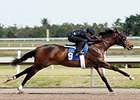 Smart Strike Filly Brings $700,000 at F-T Smart Strike Filly Brings $700,000 at F-T