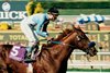 Brocco wins the 1993 Breeders' Cup Juvenile