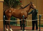 Hip 51, by Unbridled's Song, fetched $700,000 from Irish bloodstock agent John McCormack.
