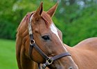 Lisa Danielle<br><a target="blank" href="http://photos.bloodhorse.com/OntheFarm/on-the-farm/22361462_rvkP8w#!i=2476959377&k=xgBRcHm">Order This Photo</a>
