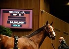 Mr. Besilu sold for $4.2 million at the 2010 Keeneland September yearling sale.
