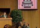 Peace Preserver was purchased for $1.9 million Nov. 5 at the Keeneland November breeding stock sale.