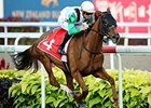 Parranda wins the Singapore Cup Feb. 22, 2015.
