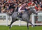 Slideshow: Royal Ascot 2013 Slideshow: Royal Ascot 2013