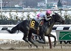 Ackeret wins the Jimmy Winkfield Stakes.
<br><a target="blank" href="http://photos.bloodhorse.com/AtTheRaces-1/At-the-Races-2015/i-CwsNFGn">Order This Photo</a>