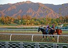 Fairplex, Santa Anita House Evacuated Horses Fairplex, Santa Anita House Evacuated Horses