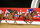 African Story Excels in Maktoum Challenge African Story Excels in Maktoum Challenge