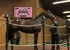 Hip 712, a War Front colt, sells for $2.5 million.