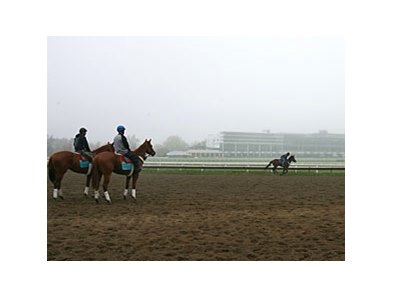 Horses prepare for opening day at Monmouth Park.