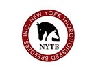 NYTB Online Seasons Auction Set for January NYTB Online Seasons Auction Set for January