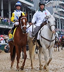 Derby Runner-Up Golden Soul's Breeze Delayed Derby Runner-Up Golden Soul's Breeze Delayed