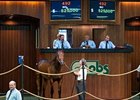 Hip No. 492 topped the sale at $525,000.