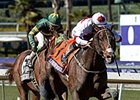 London Bridge came on late to win the Marathon.<br><a target="blank" href="http://photos.bloodhorse.com/BreedersCup/2013-Breeders-Cup/Marathon/33148158_pgQmsx#!i=2876231923&k=2RvW5ML">Order This Photo</a>