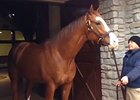 Behind the Scenes with Will Take Charge Behind the Scenes with Will Take Charge