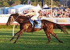 Black Caviar cruises to victory number 25.