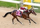 Untapable