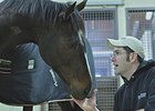 Rachel Alexandra at Rood & Riddle.