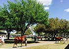 Expanded OBS March Sale Starts Tuesday Expanded OBS March Sale Starts Tuesday