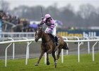Silviniaco Conti Wins 2nd King George Chase Silviniaco Conti Wins 2nd King George Chase