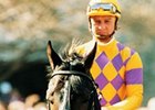 Grade II Winner Williamstown Dead at 25 Grade II Winner Williamstown Dead at 25
