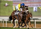 Soumillon Scores Group II Double at Meydan Soumillon Scores Group II Double at Meydan