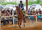 The April 26 Thoroughbreds For All event featured 500 attendees from 22 states.