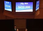 Tapit Filly Tops Record F-T October Sale Tapit Filly Tops Record F-T October Sale
