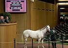 Mare in Foal to Dubawi Sells for $1.45M Mare in Foal to Dubawi Sells for $1.45M