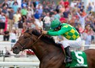 Grade 1 winner Finnegans Wake now stands at Rockingham Ranch