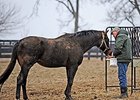 Kiri's Clown with Michael Blowen at Old Friends Thoroughbred Retirement Facility.