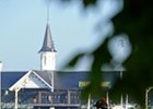 21 Horses to be Entered in Kentucky Derby 21 Horses to be Entered in Kentucky Derby