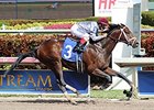 Khozan<br><a target="blank" href="http://photos.bloodhorse.com/AtTheRaces-1/At-the-Races-2015/i-kQWKJpC">Order This Photo</a>