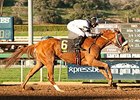 Warren's Veneda streaks home to win the Santa Maria Stakes.