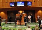 Hip 69, a filly by Dynaformer, sold for $1,225,000.