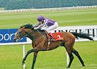 Fame And Glory was a five-time group 1 winner.