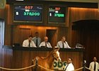 Hip 607, a son of Birdstone, sold for $375,000 at the the Ocala Breeders' Sales Co.'s Spring Sale of 2-Year-Olds in Training.