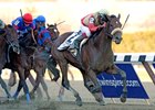 Wicked Strong winning the 2014 Wood Memorial